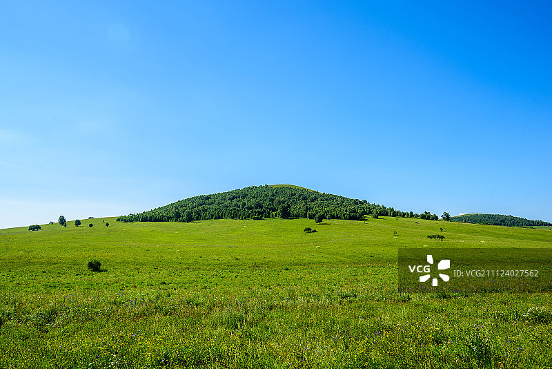 绿色的大草原图片素材
