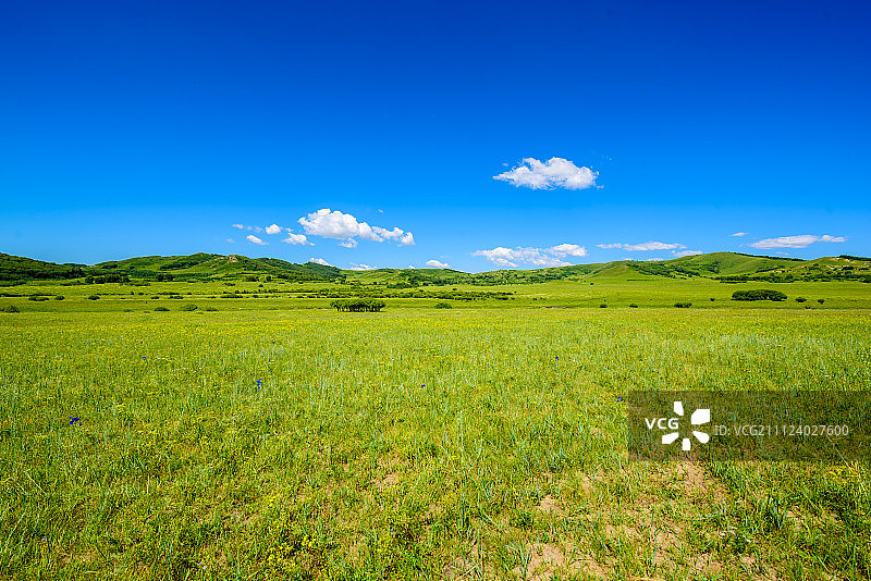 绿色的大草原图片素材