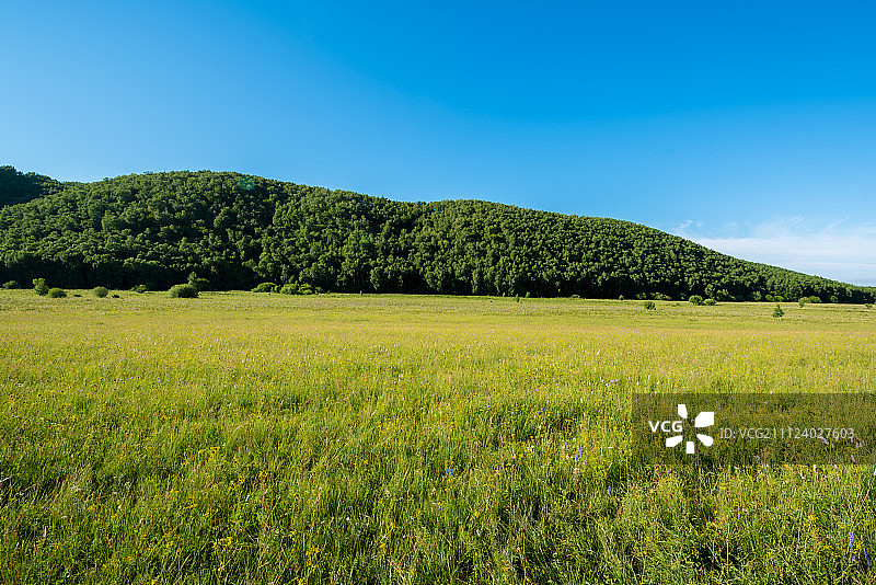 绿色的大草原图片素材