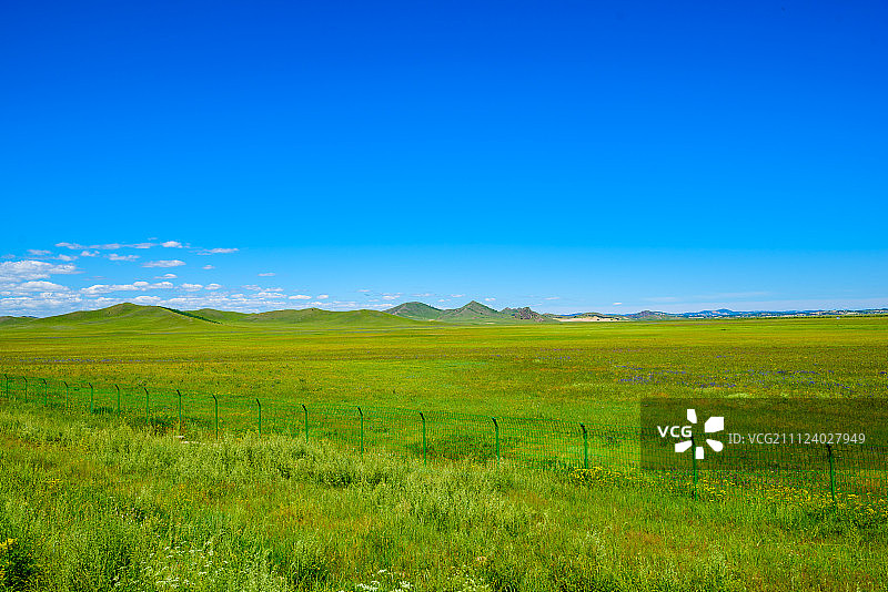 绿色的大草原图片素材