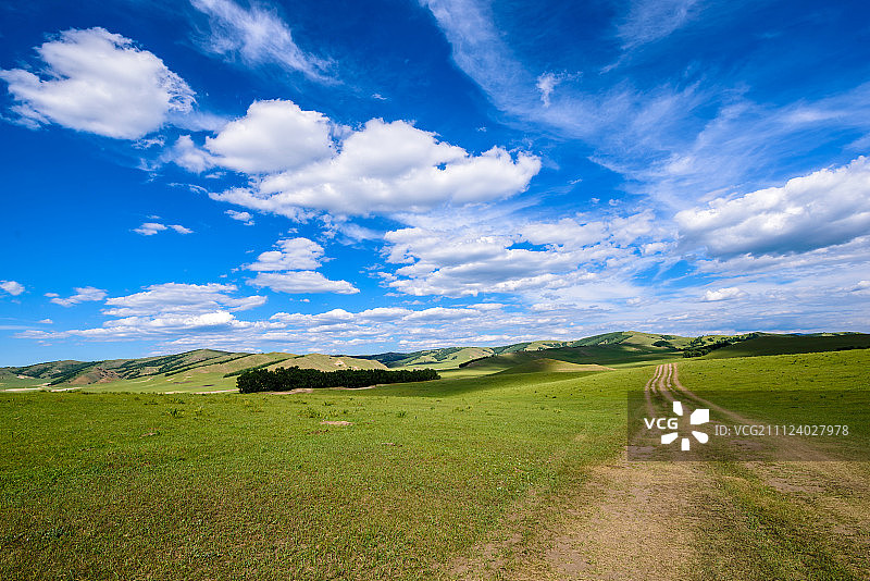草原上的车辙图片素材