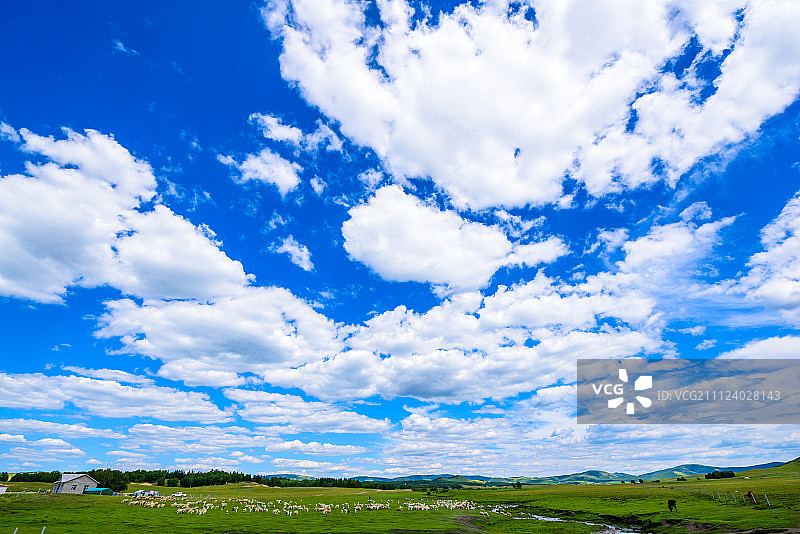 绿色的大草原图片素材