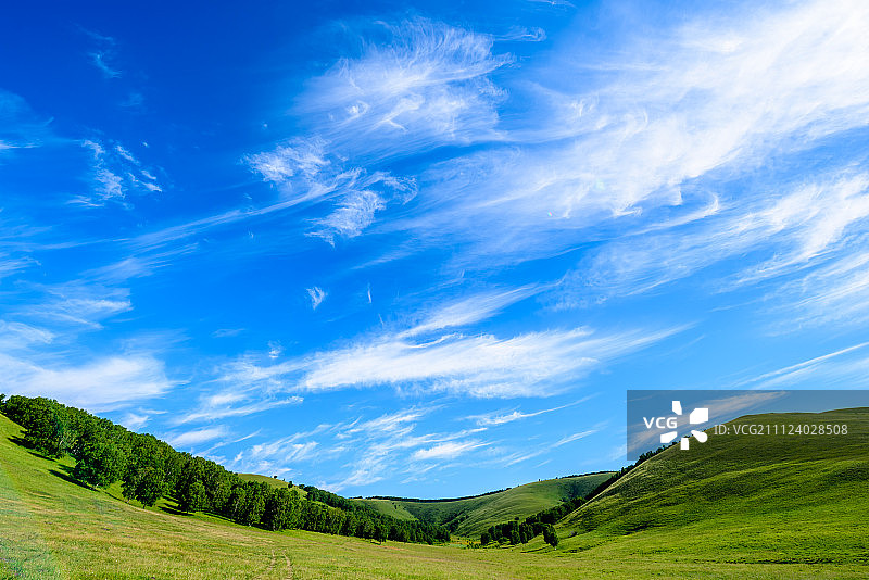 绿色的大草原图片素材