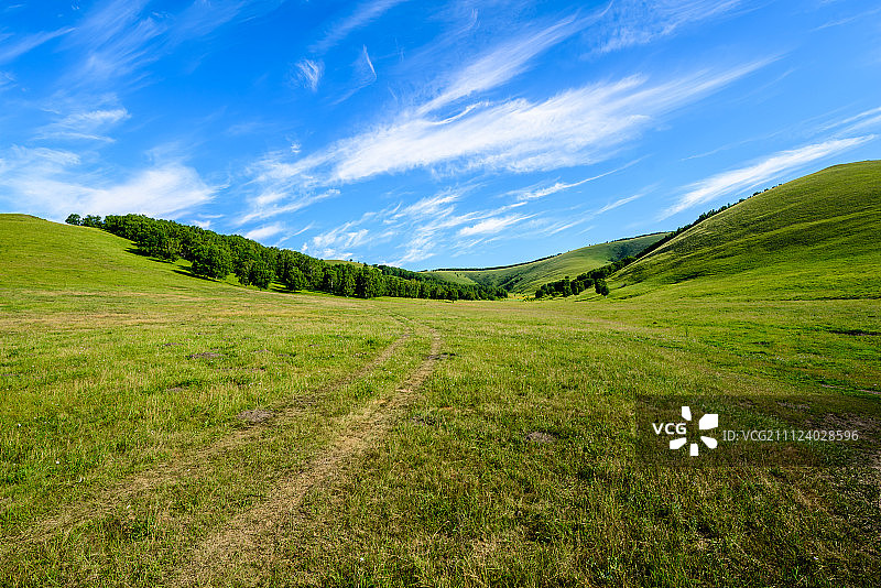 草原上的车辙图片素材