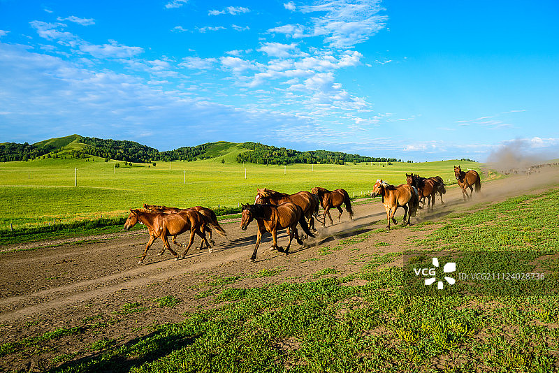 万马奔腾图片素材