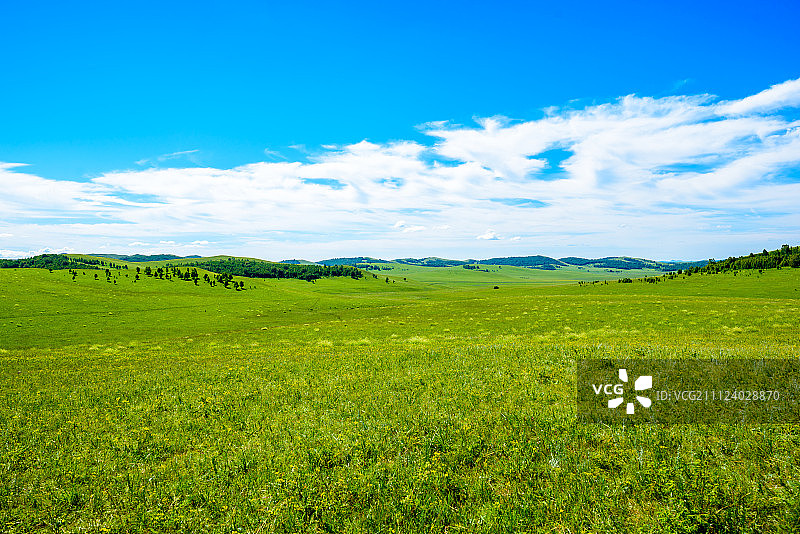绿色的大草原图片素材