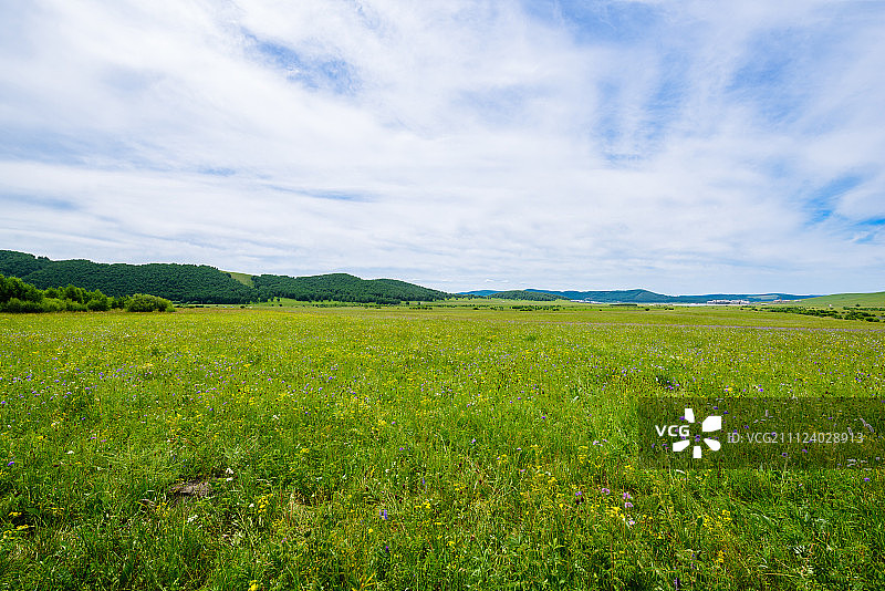 绿色的大草原图片素材