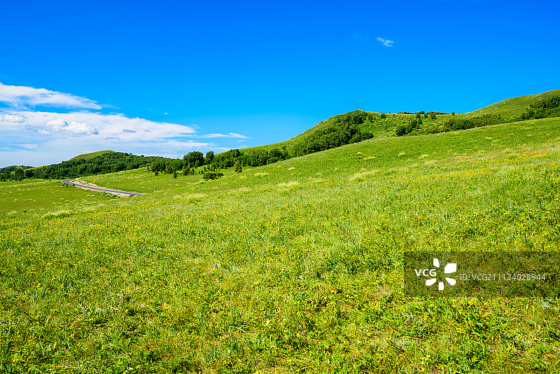 草原上的公路图片素材