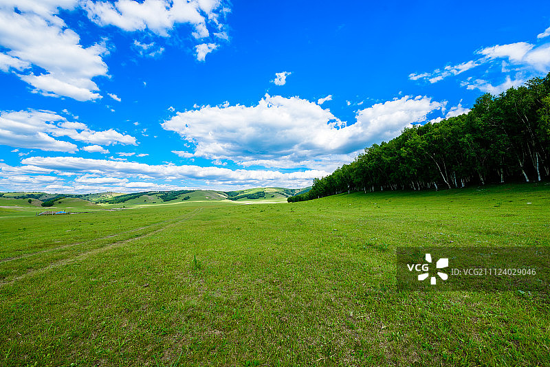 草原上的车辙图片素材