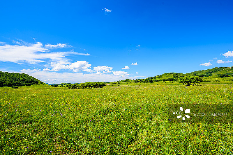 绿色的大草原图片素材