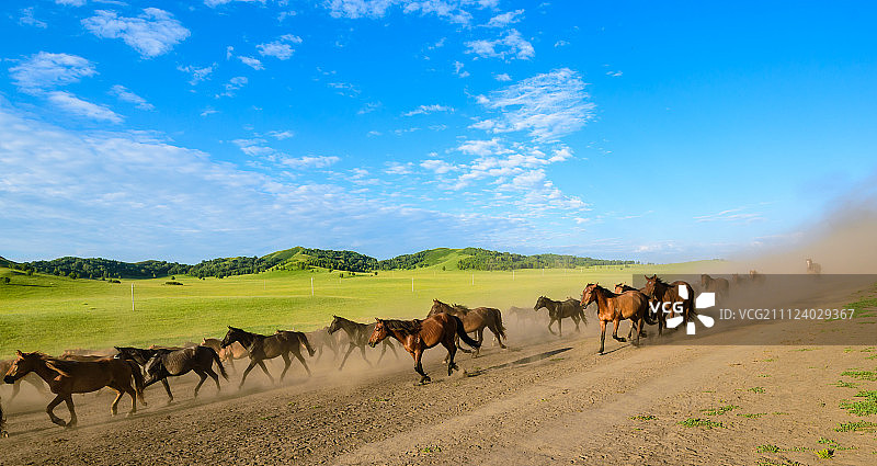 万马奔腾图片素材