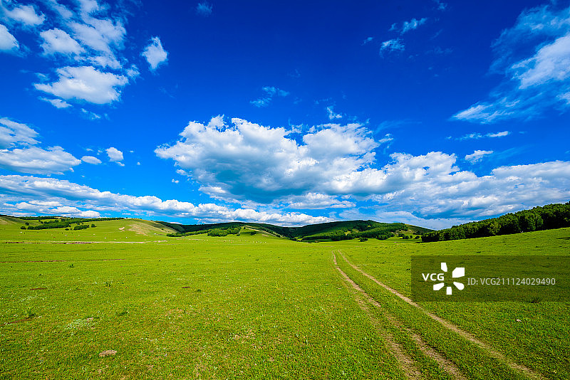 草原上的车辙图片素材
