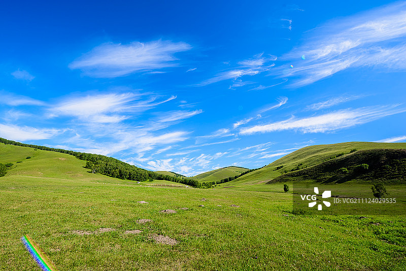 绿色的大草原图片素材