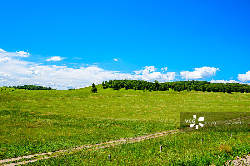 草原上的车辙图片素材