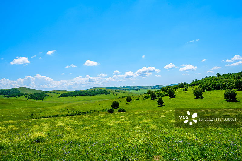 绿色的大草原图片素材