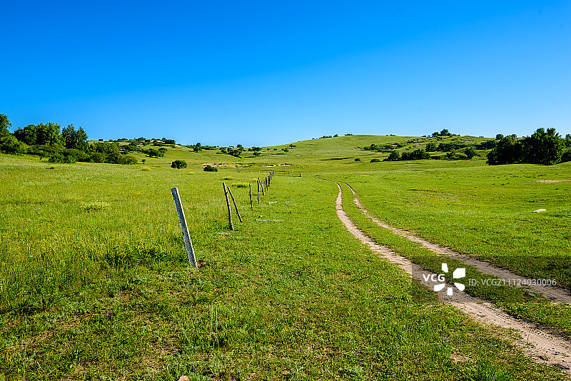 草原上的车辙图片素材