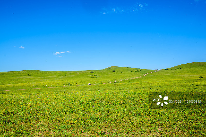 绿色的大草原图片素材