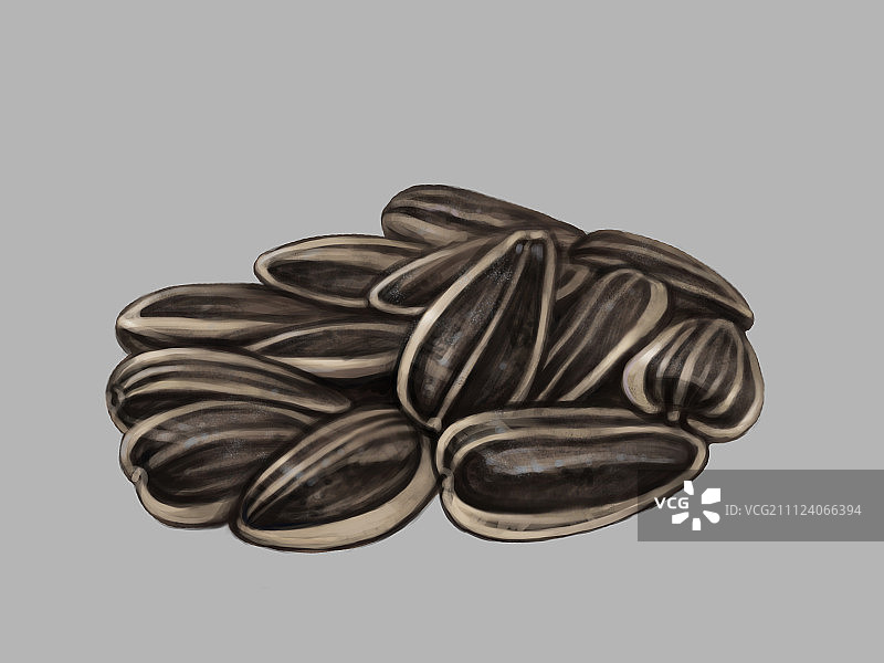 葵花籽图片素材