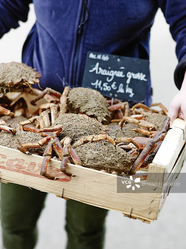 搬运一箱海蜘蛛的人图片素材