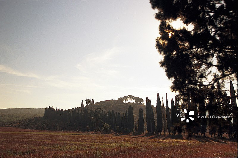 托斯卡纳乡村风景，背景为莫里农场葡萄园图片素材