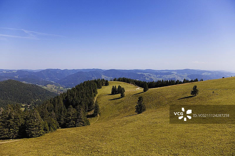 从德国黑森林的山丘上眺望Westweg图片素材