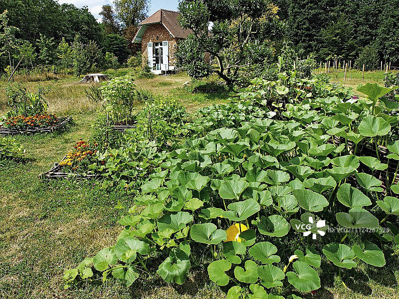 位于法国蒙特勒伊的伊丽莎白公主乡间别墅图片素材