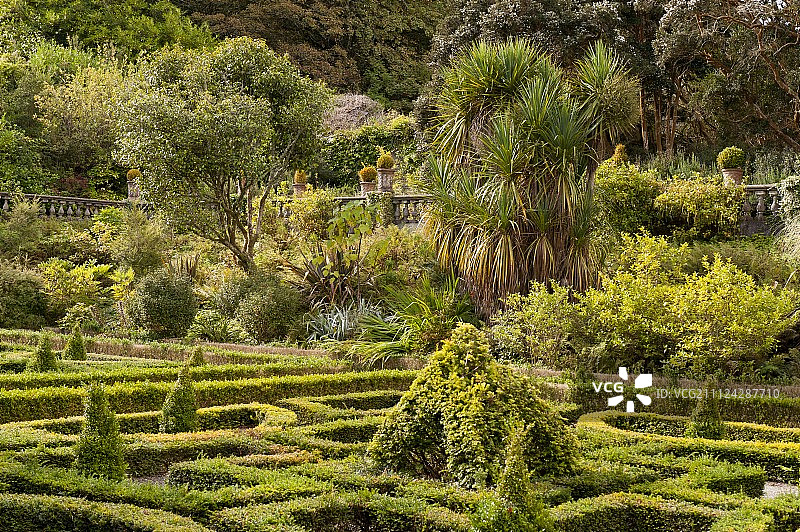 英国爱尔兰班特里庄园的树篱景观图片素材