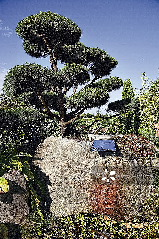 日本花园一角图片素材