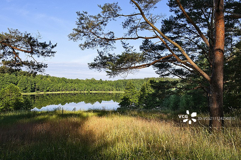 波兰瓦尔米亚-马祖里省米科瓦伊基的树木和湖泊景观图片素材