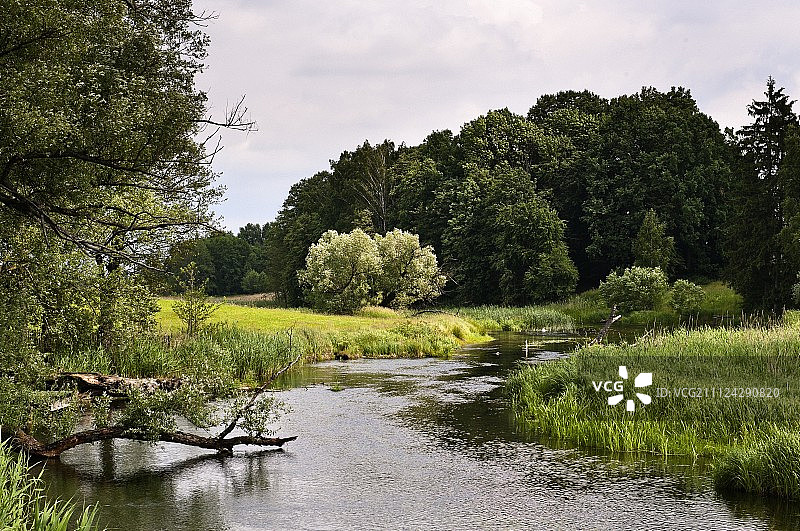 波兰瓦尔米亚-马祖里省米科瓦伊基的树木和湖泊景观图片素材