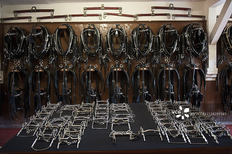 策勒国家种马场挂在挂钩上的笼头，下萨克森州，德国图片素材