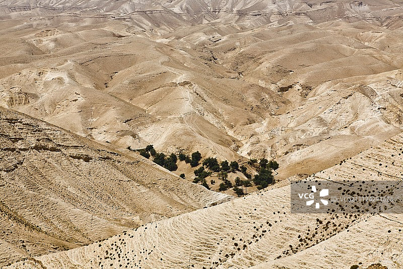 以色列朱迪亚沙漠瓦迪凯尔特连绵起伏的景观图片素材