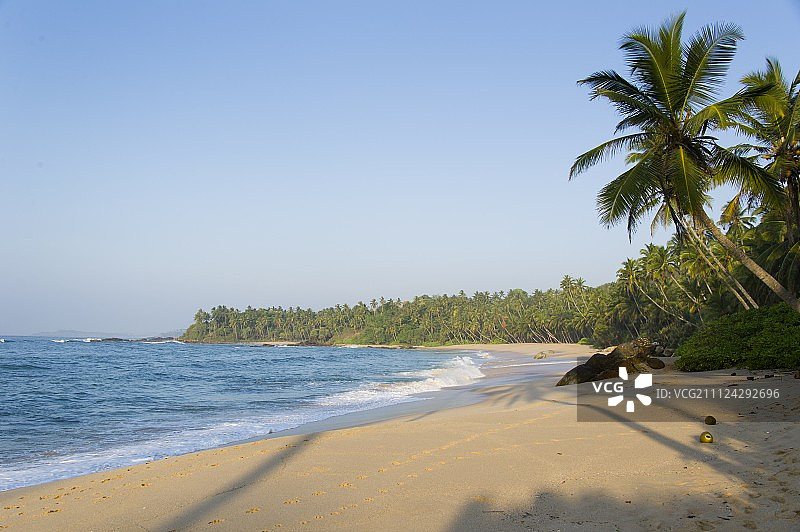 斯里兰卡汉班托塔区坦加勒海滩和棕榈树景色图片素材