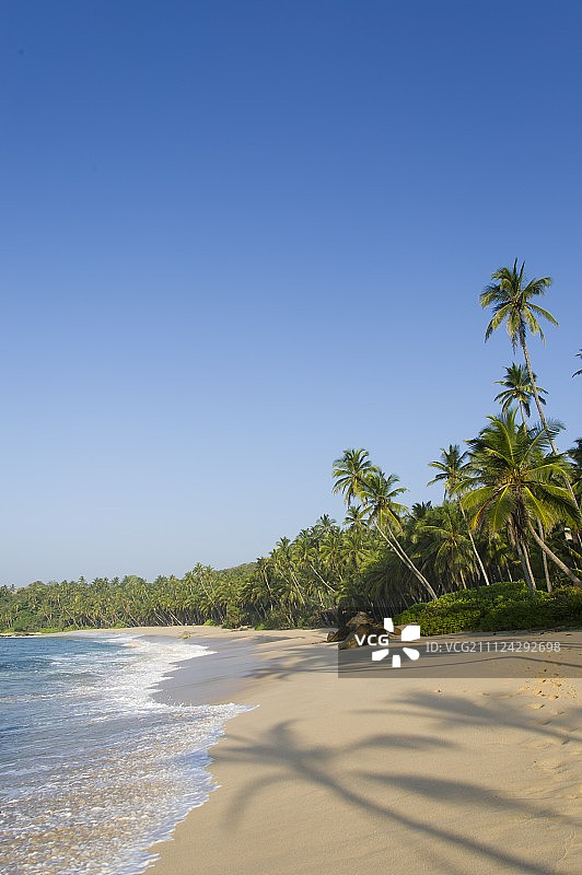 斯里兰卡汉班托塔区坦加勒海滩和棕榈树景色图片素材