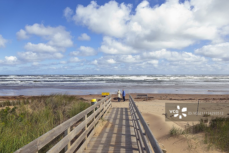 加拿大爱德华王子岛国家公园布拉克利-达尔维海滩上的木桥图片素材
