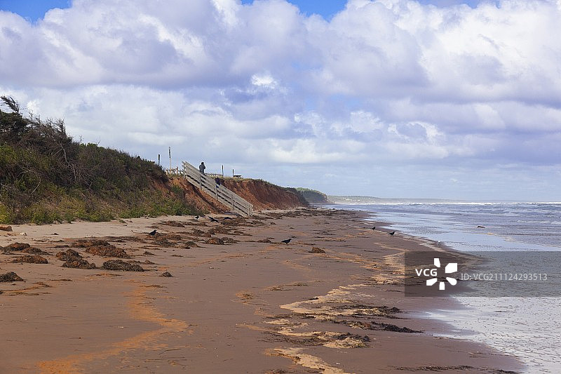 情侣在加拿大爱德华王子岛国家公园布拉克利-达尔维海滩上散步图片素材