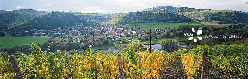 德国奥伯豪森葡萄园和酿酒师村庄景观图片素材