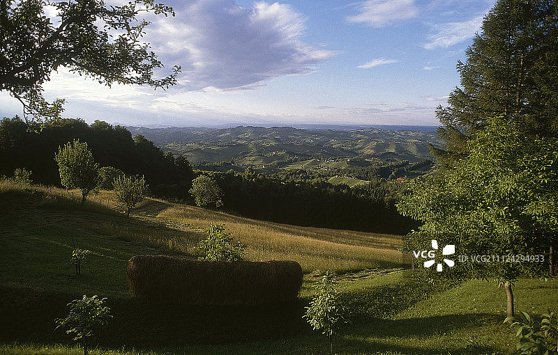 奥地利施蒂利亚的茂盛山丘景观图片素材