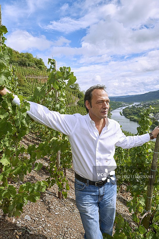 葡萄园里的酿酒师马库斯·莫利托图片素材