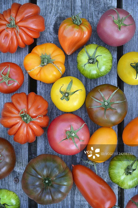 什锦西红柿景观图片素材