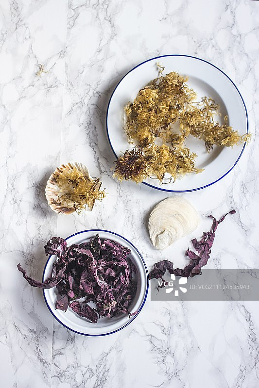 卡拉胶和红藻图片素材