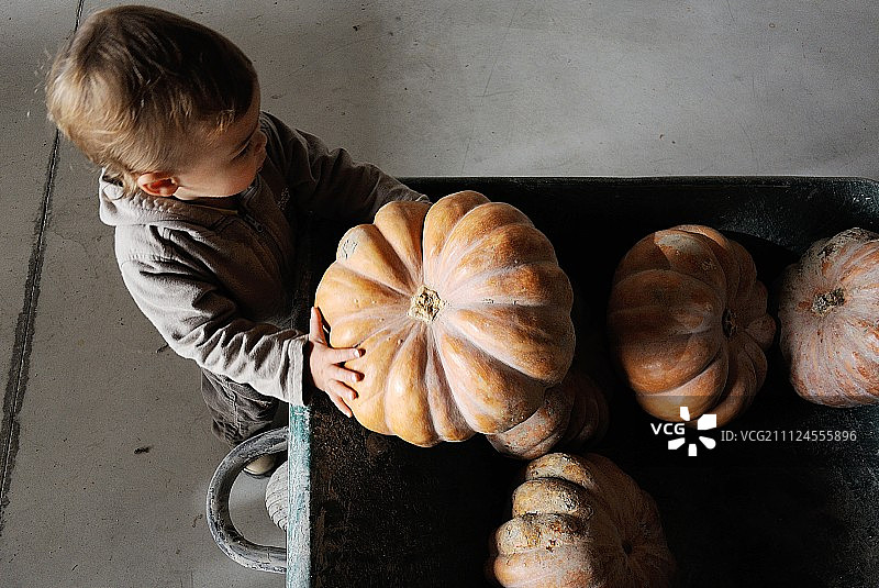小男孩试图搬起一个比他重两倍的南瓜图片素材
