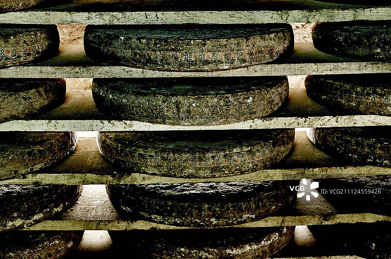 在架子上成熟的圆形孔泰奶酪图片素材