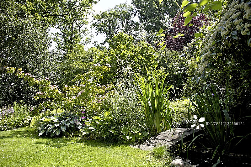 小溪、百合、玉簪和报春花盛开的花园一览图片素材