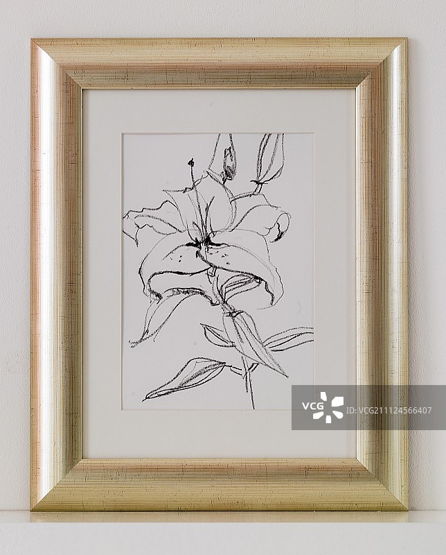 墙上银框花卉图案特写图片素材