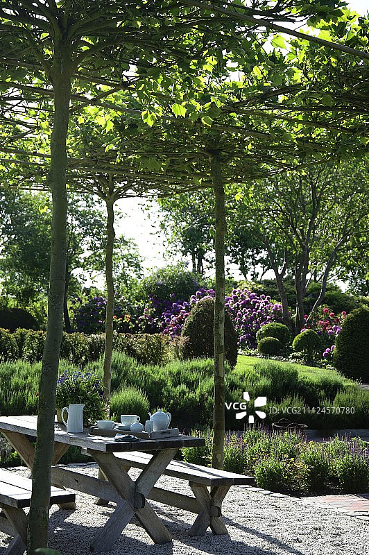 木桌和木制长凳，竹编屋顶下的悬铃木图片素材