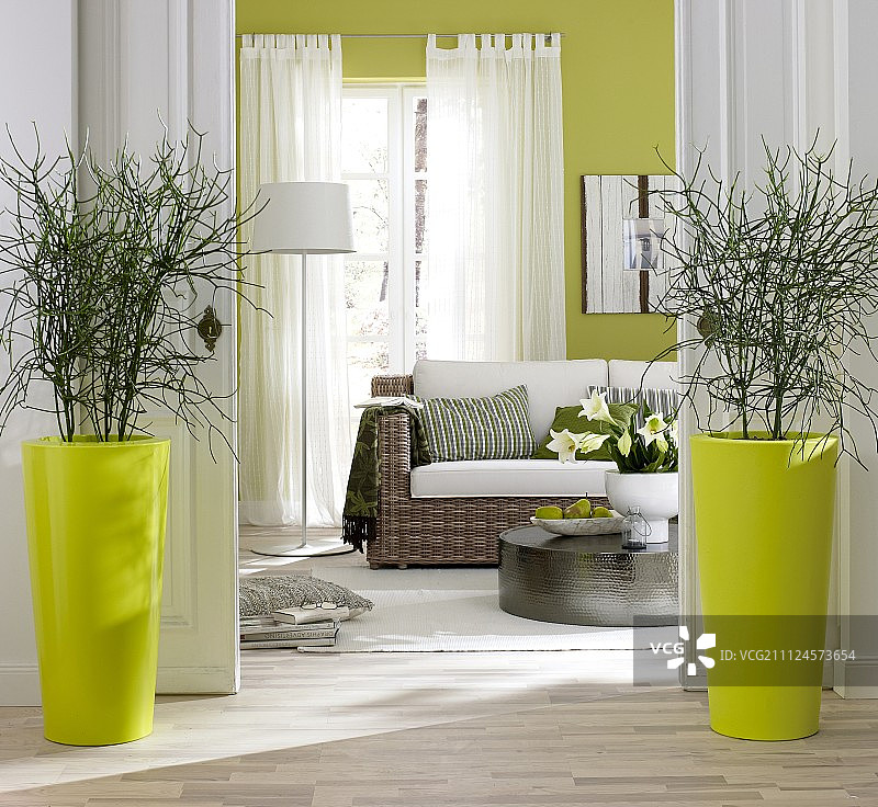 带沙发、铝制咖啡桌和铅笔植物的客厅图片素材