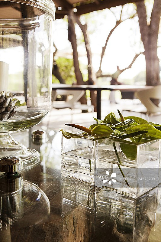 南非Phinda部门森林小屋的露台装饰图片素材