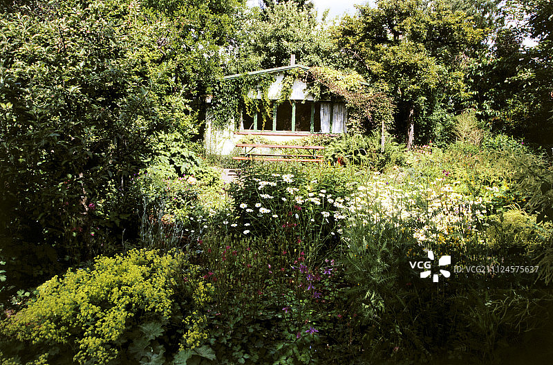 带小别墅的花园景观图片素材