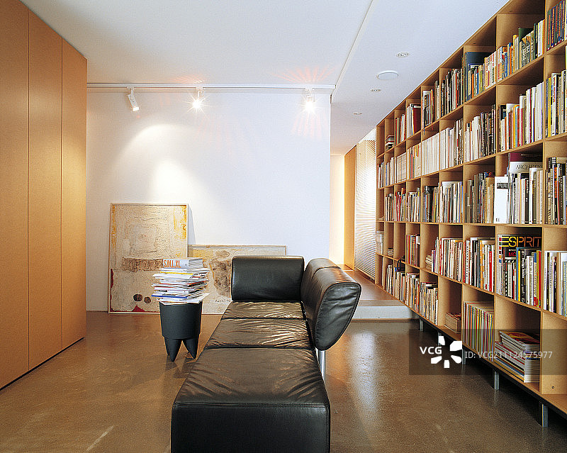 光线明亮的客厅，配有黑色皮沙发、书柜和衣柜图片素材